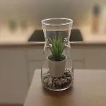 Apartmán Cyrkoniowa *