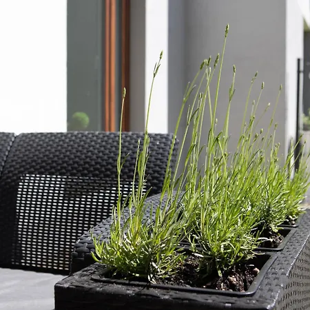 Cyrkoniowa Διαμέρισμα Λούμπλιν