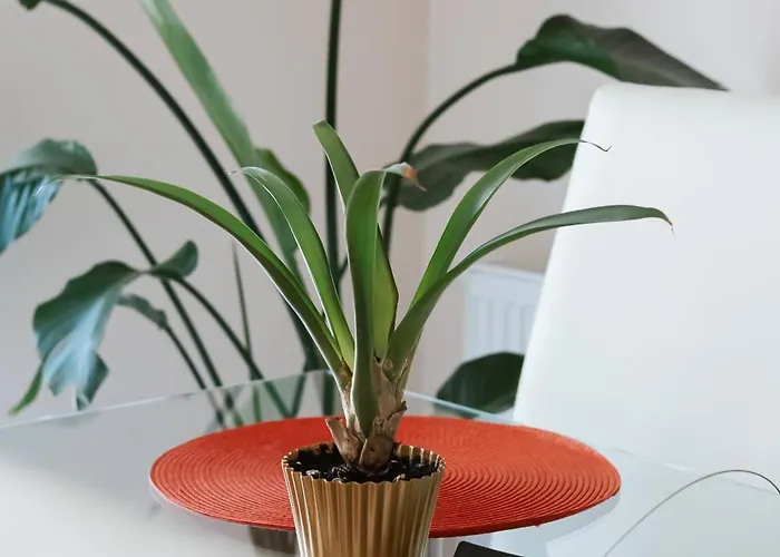 Cyrkoniowa Λούμπλιν